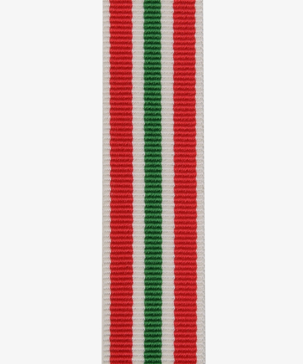 Deutsches Reich, Medaille zur Erinnerung an die Heimkehr des Memellandes, Miniatur (385)